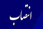 انتصاب دکتر وحید ماجد به سرپرست معاونت سیاست گذاری و راهبری اقتصادی